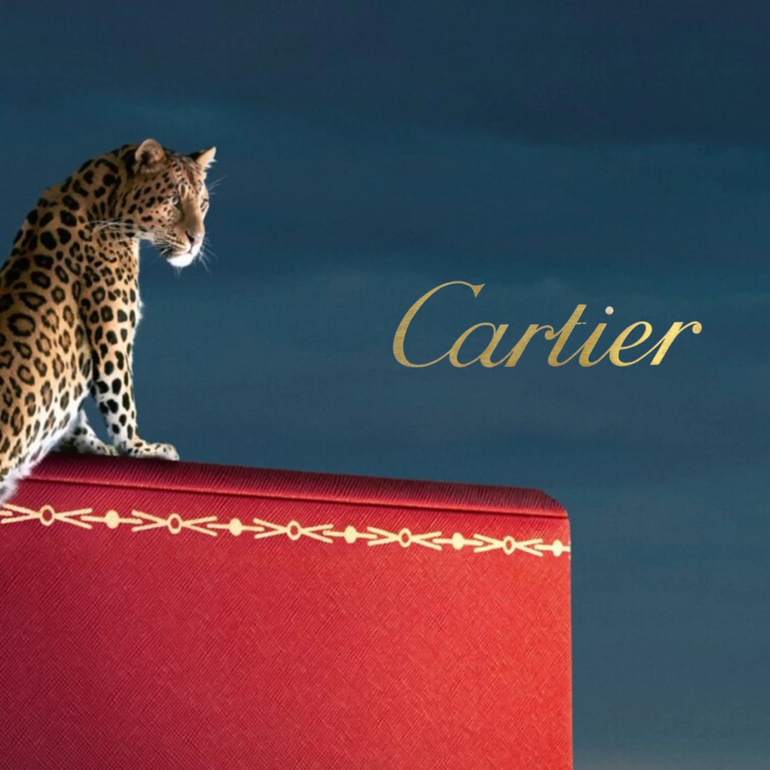 Cartier All Jewelry