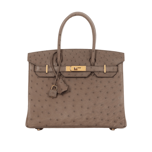 Detailed Ostrich Structured Carryall Sellier Brown Bag
