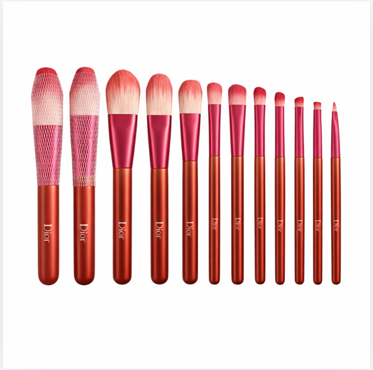 Dior Dark Rose Pink Makeup Brush Set