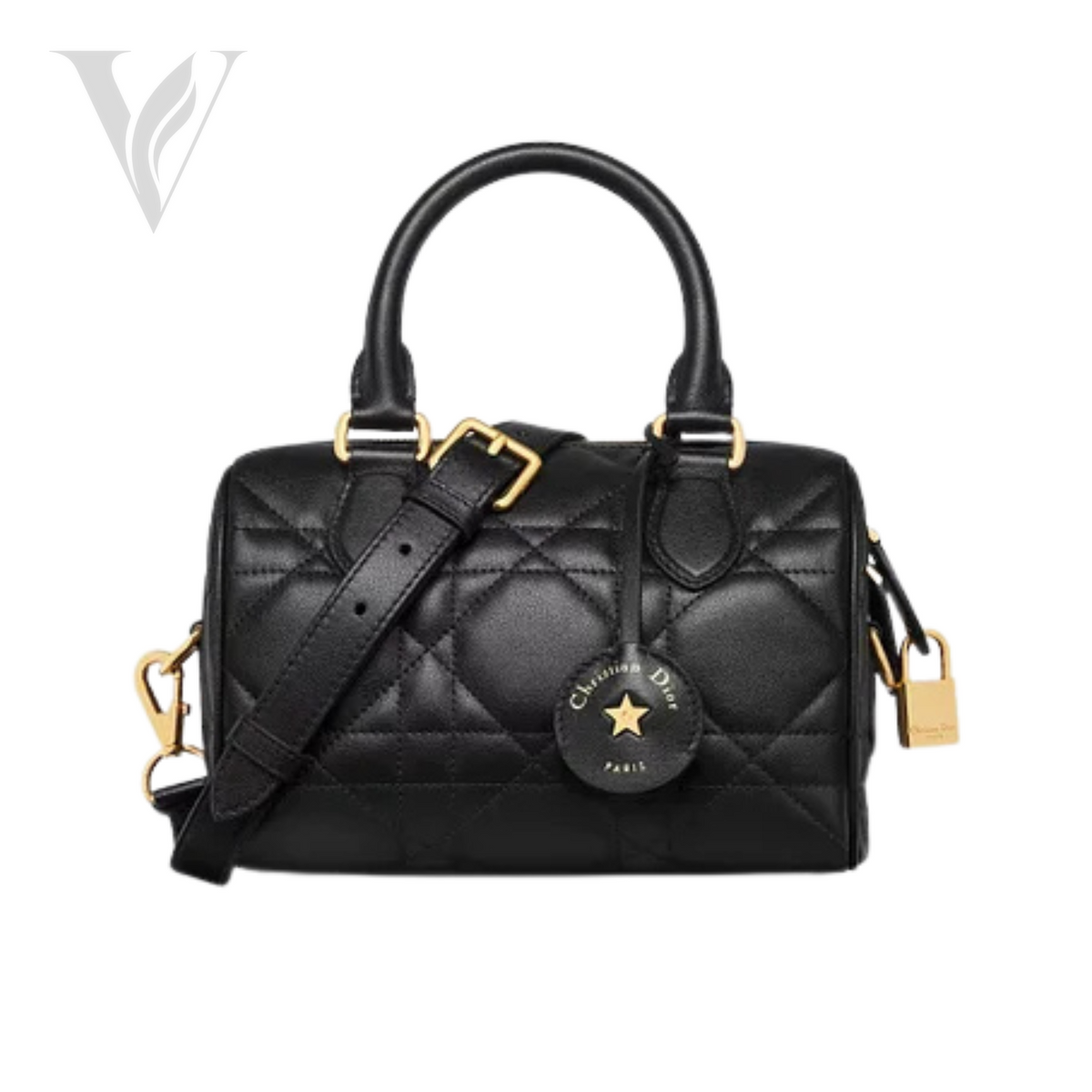 Dior Groove 20 Bag