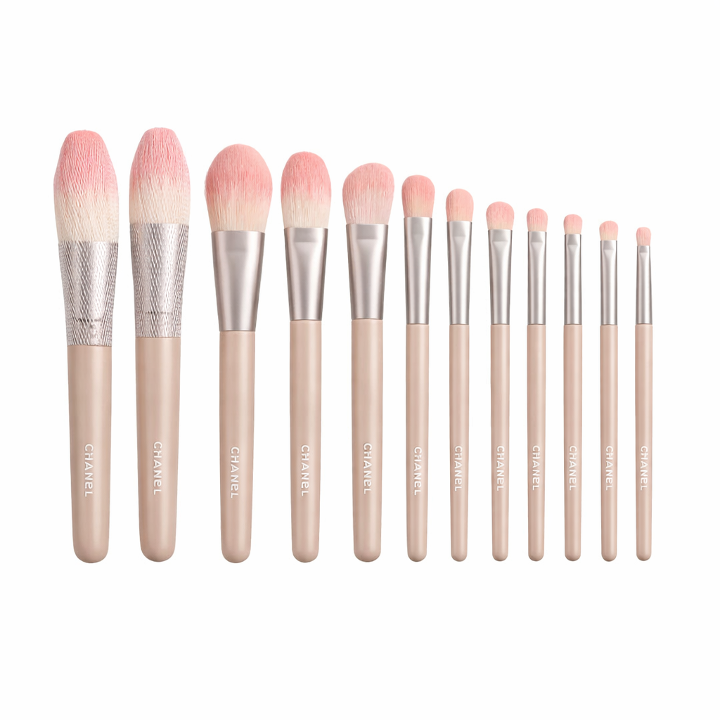 Dior Baby Pink Makeup Brush Set with Storage Case