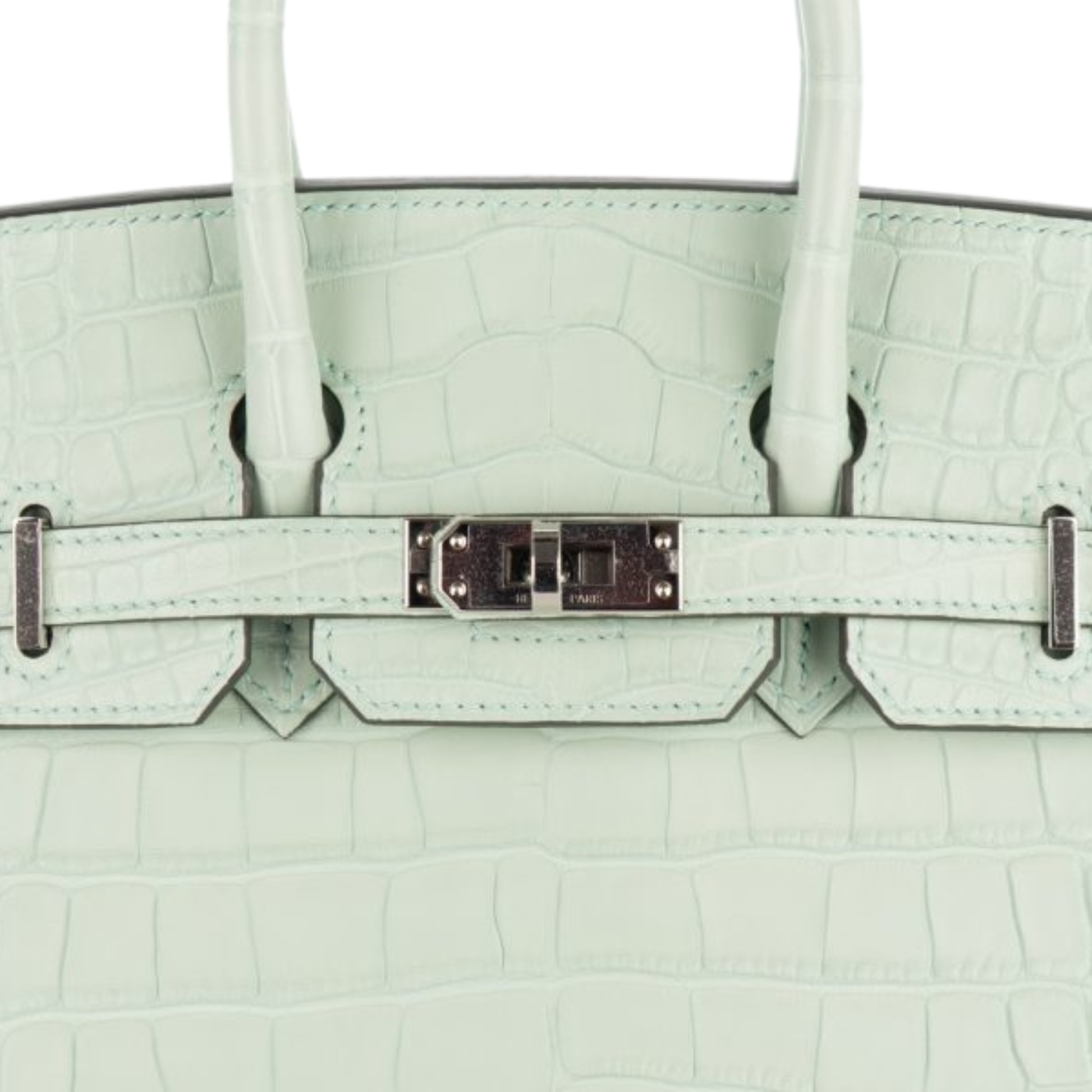 Detailed Structured Carryall 25 Matte Alligator Bag - view 4