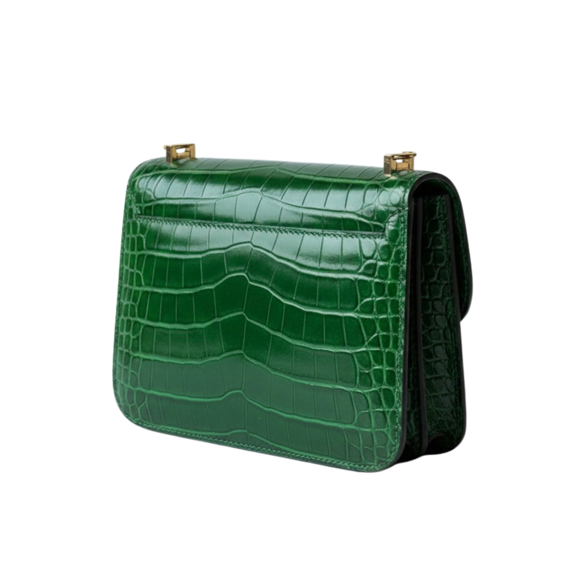 Polished Constance 18 Cactus Alligator Bag - view 2
