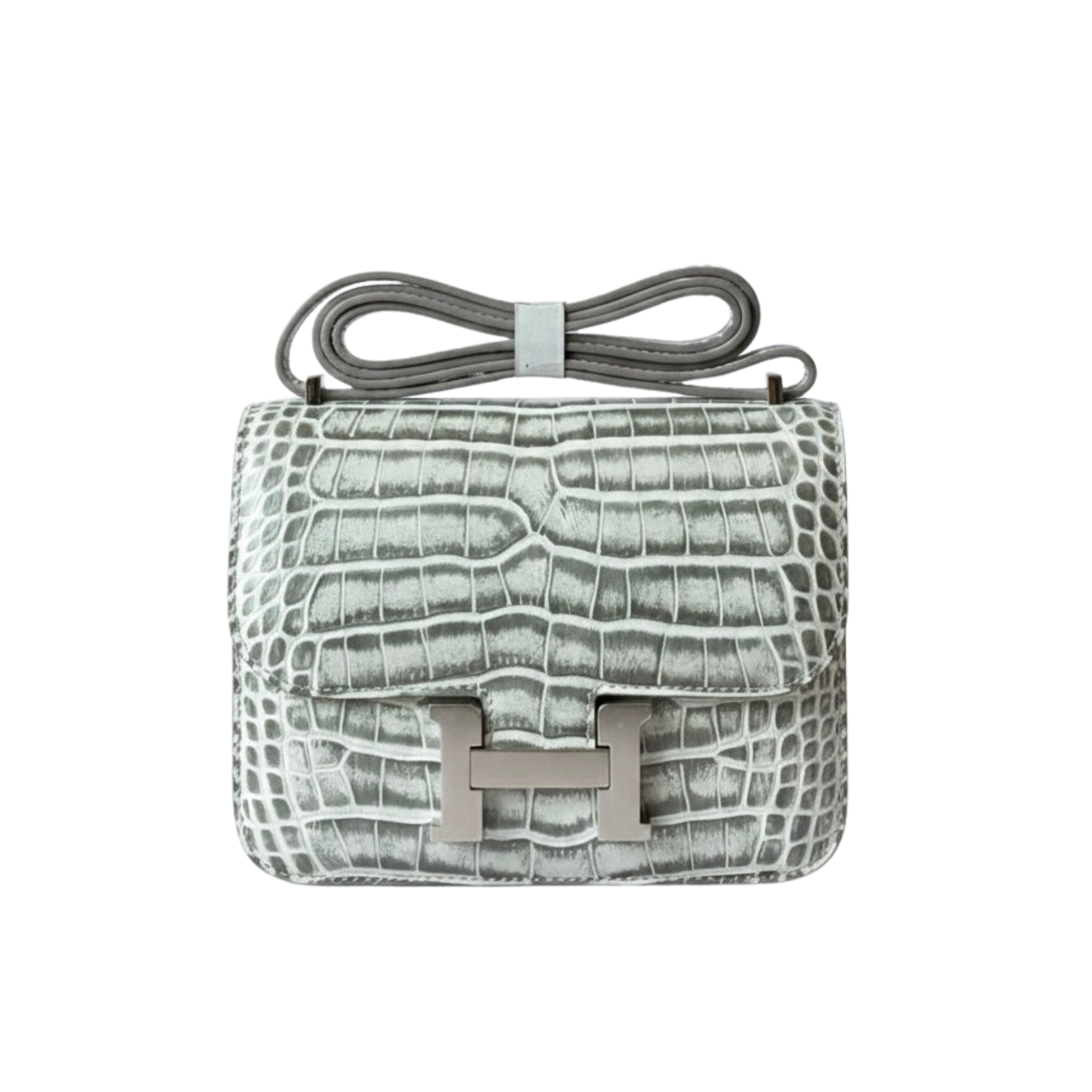 Elegant Constance 18 Matte Crocodile Bag