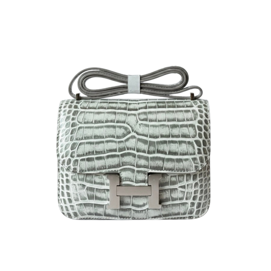 Elegant Constance 18 Matte Crocodile Bag