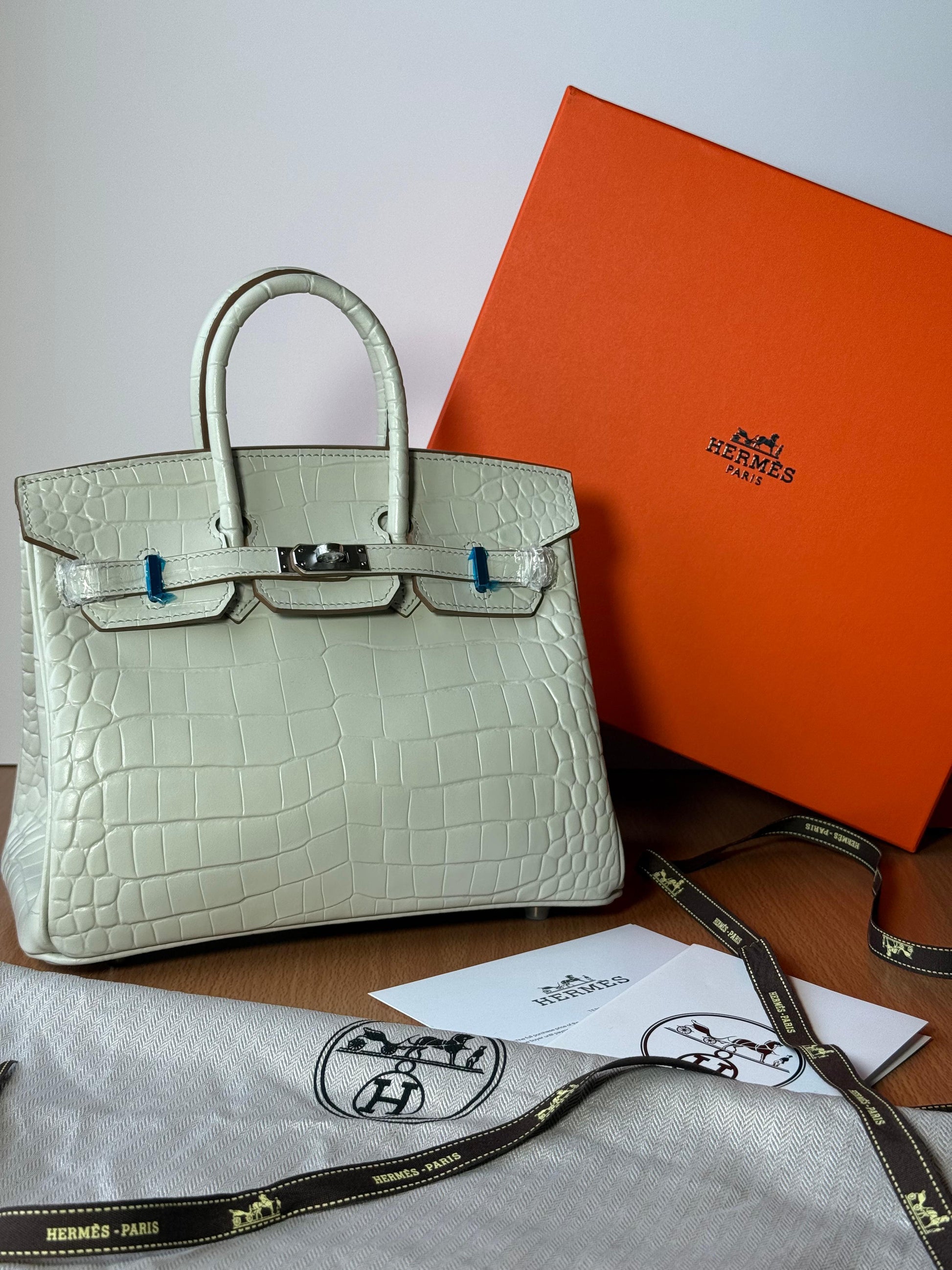 Detailed Structured Carryall 25 Matte Alligator Bag - view 5