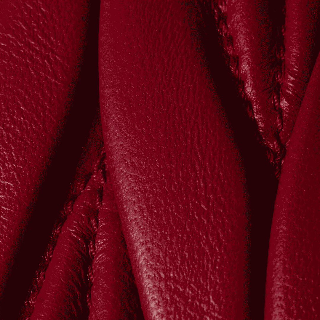 Minimal-Luxe Miu Miu Arcadie Matelassé N Pa Leather Mini Bag - view 5