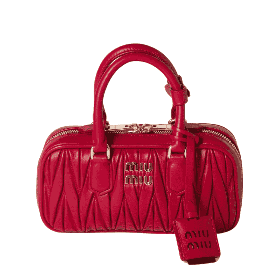 Minimal-Luxe Miu Miu Arcadie Matelassé N Pa Leather Mini Bag