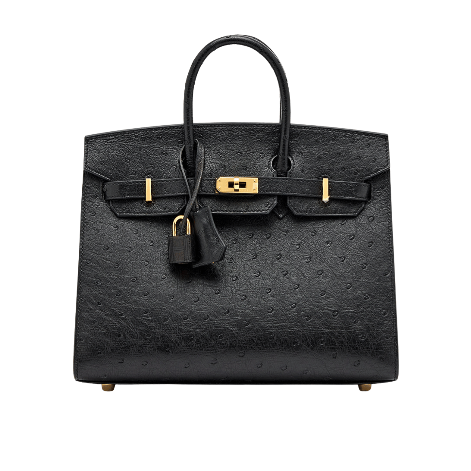 Detailed Ostrich Structured Carryall Sellier Black Bag