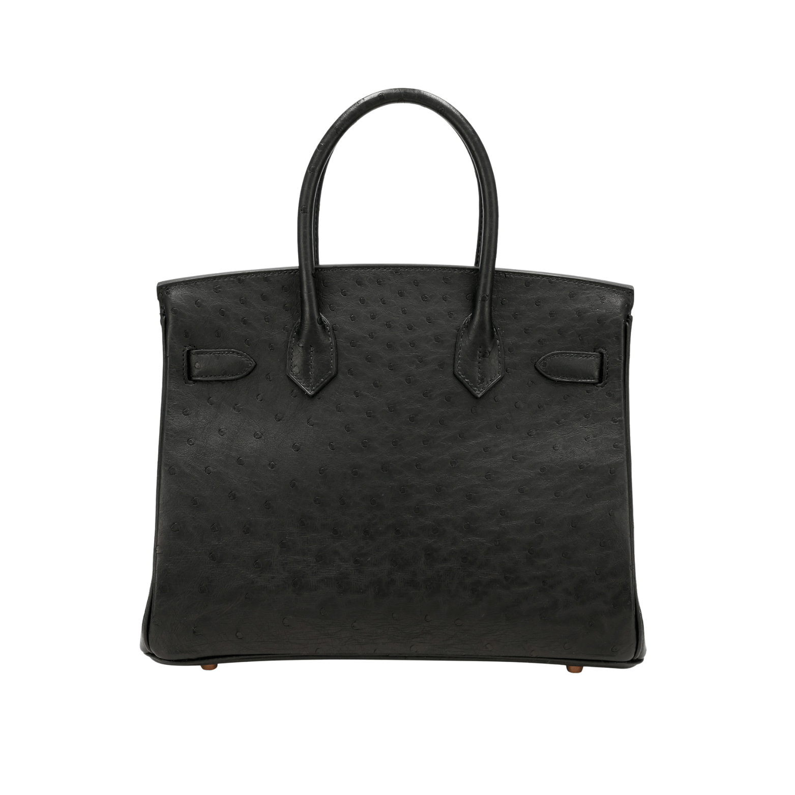 Detailed Ostrich Structured Carryall Sellier Black Bag - view 2