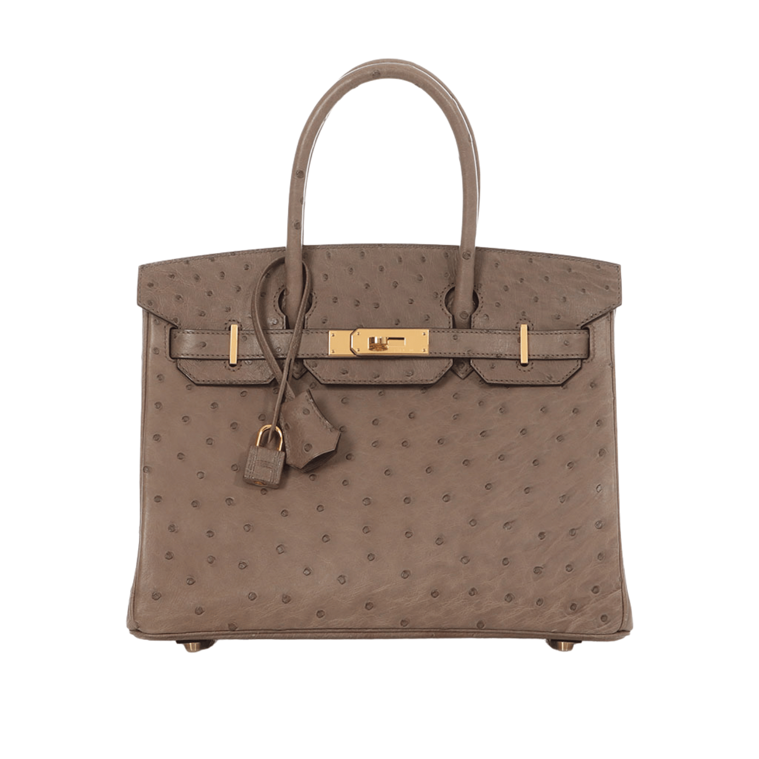 Detailed Ostrich Structured Carryall Sellier Brown Bag