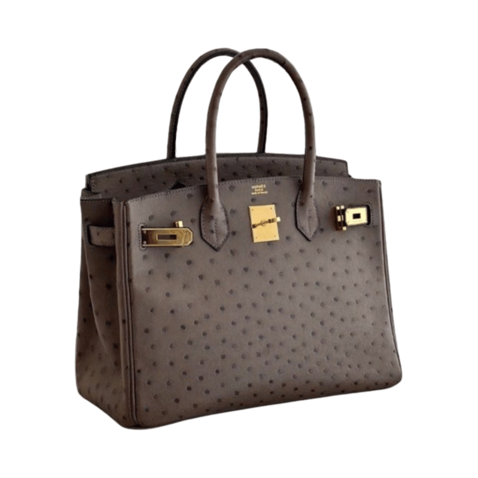 Detailed Ostrich Structured Carryall Sellier Brown Bag - view 2