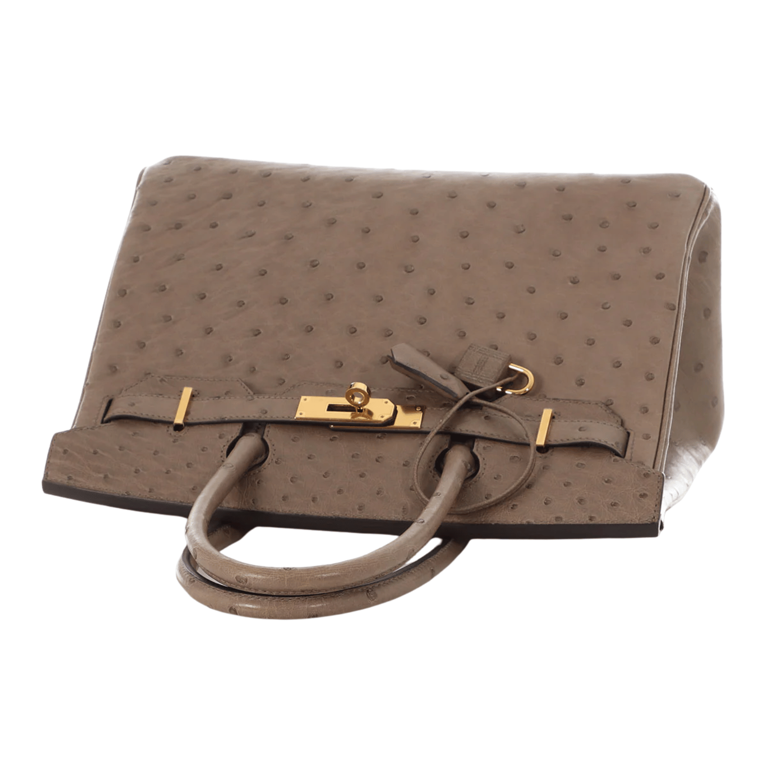 Detailed Ostrich Structured Carryall Sellier Brown Bag - view 3