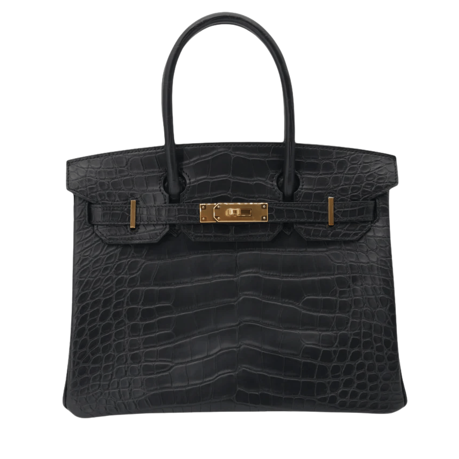 Modern Structured Carryall Croc Bag