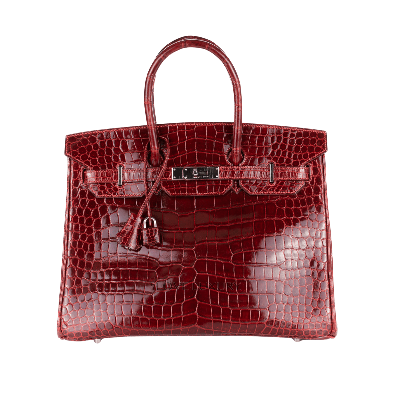 Elevated Structured Carryall Croc Bag