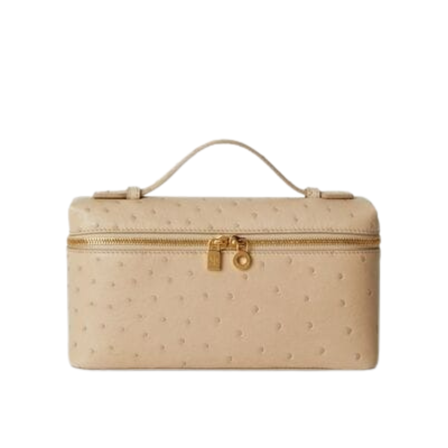 Dressy Extra Pocket L19 Ostrich Leather Bag