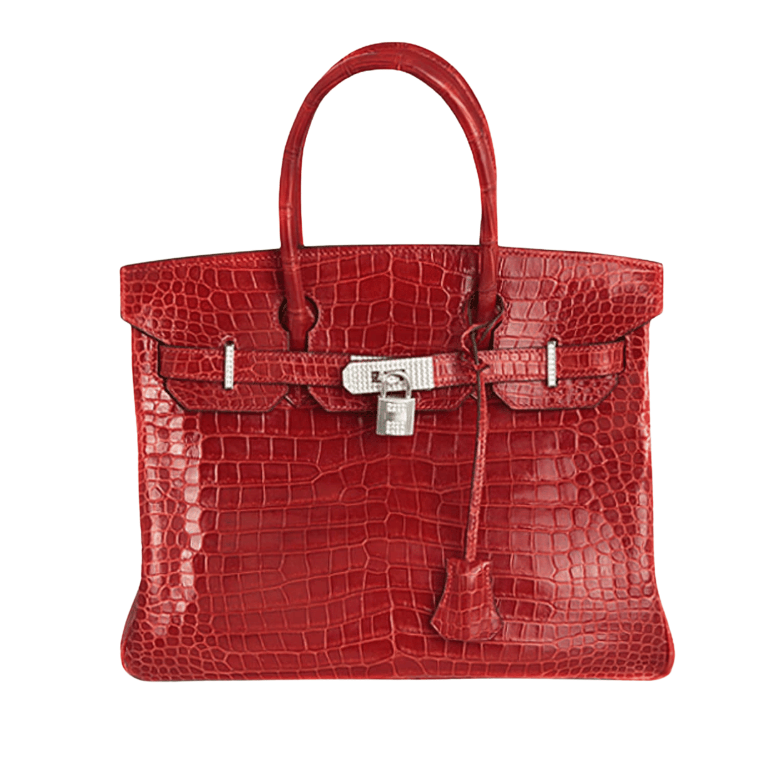 Sharp Structured Carryall Croc Bag