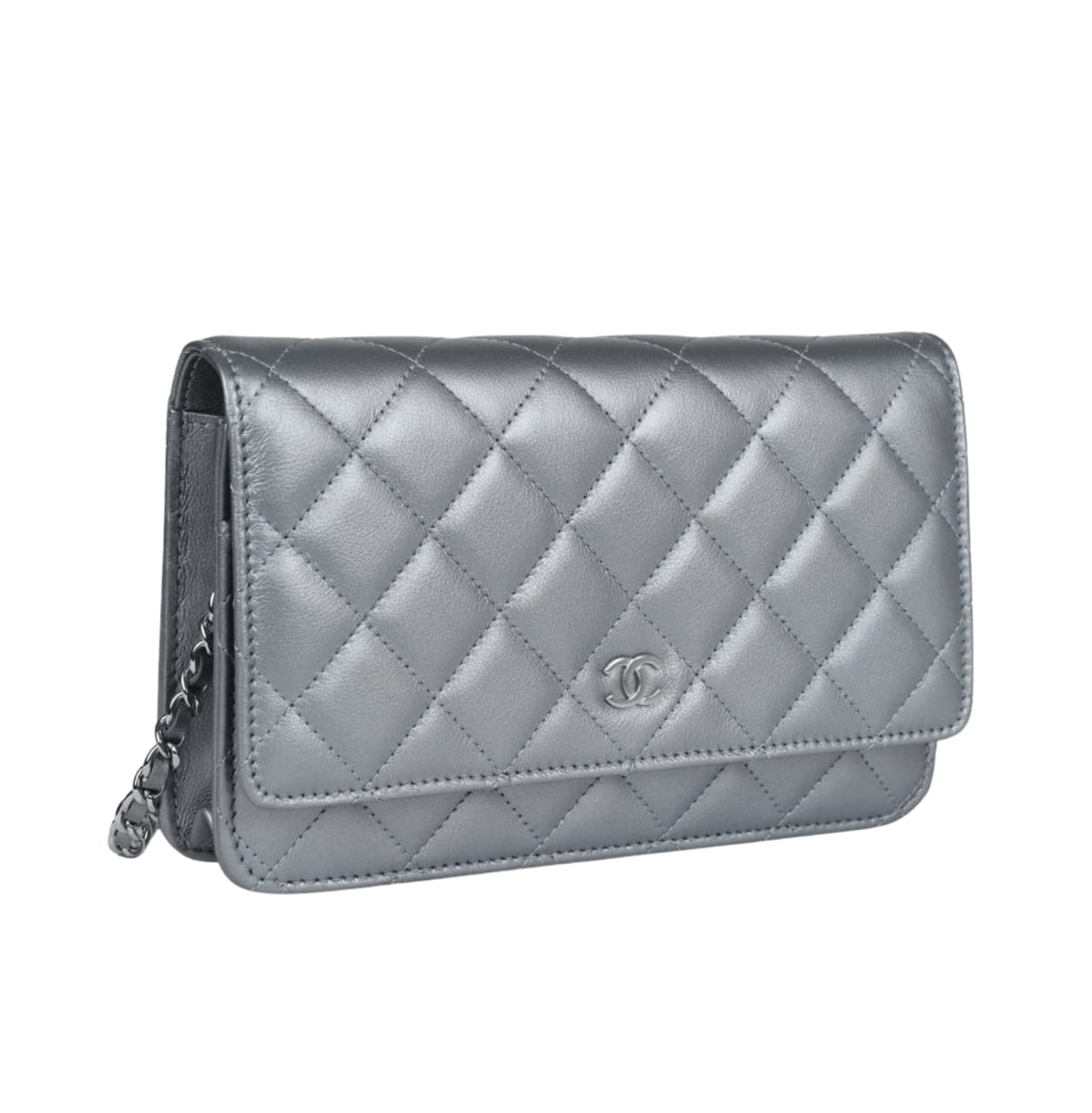 Elevated Classic On Chain Si Er Metallic Bag - view 2