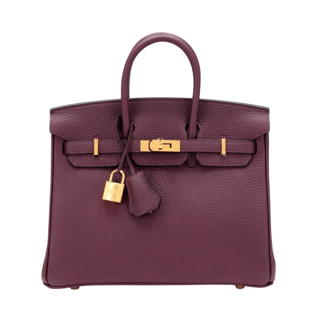 Elegant Structured Carryall Violet Togo Bag