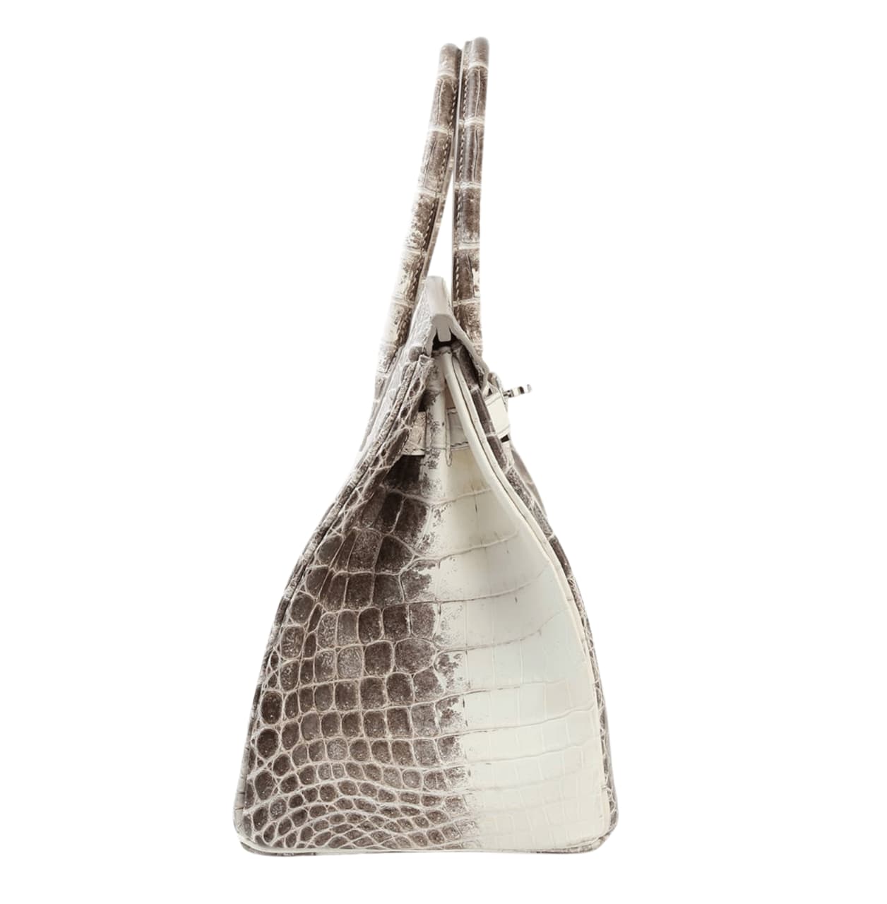 Sharp Structured Carryall 30 Himalaya Niloticus Crocodile Bag - view 3